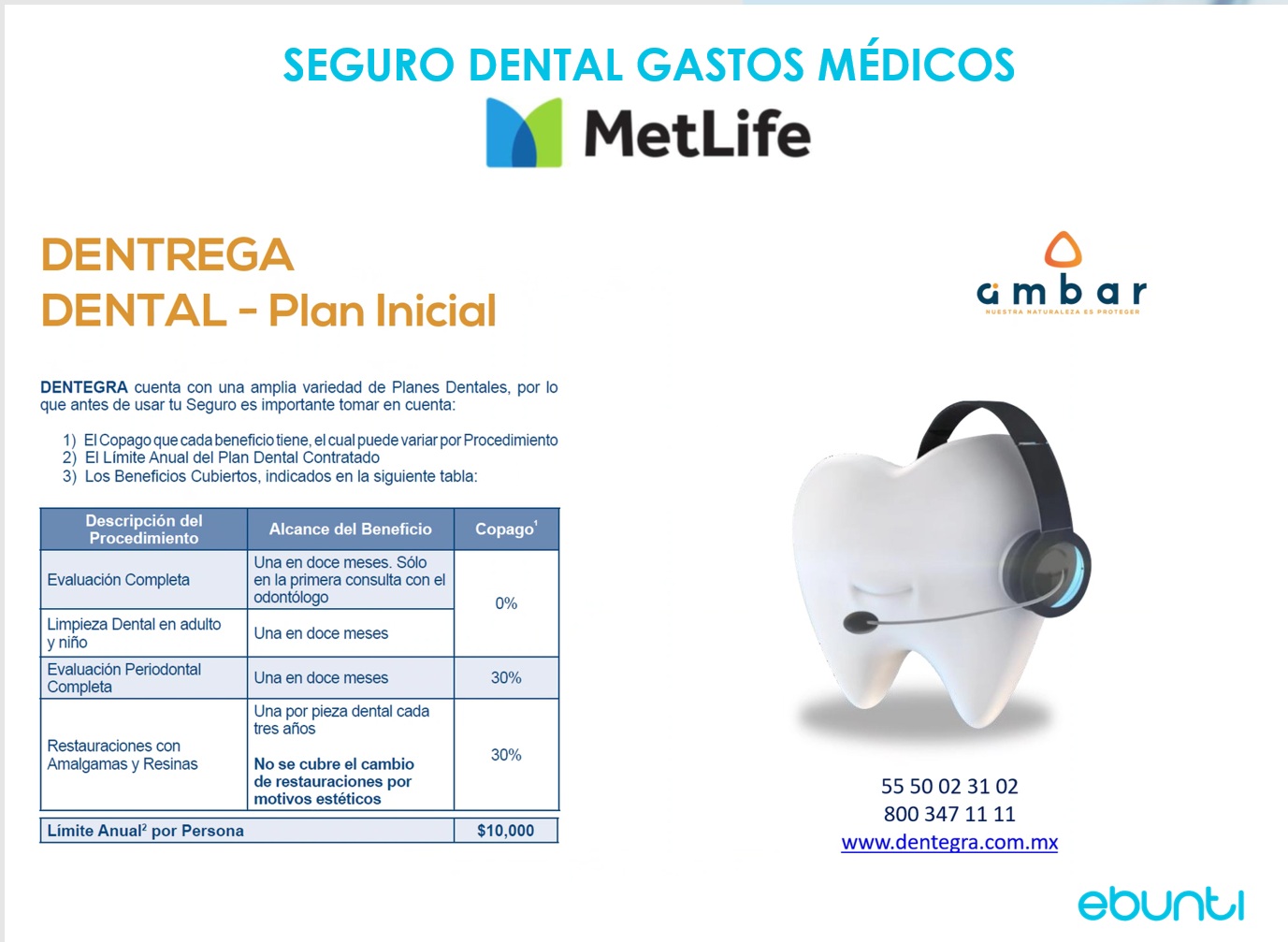 Seguro Dental