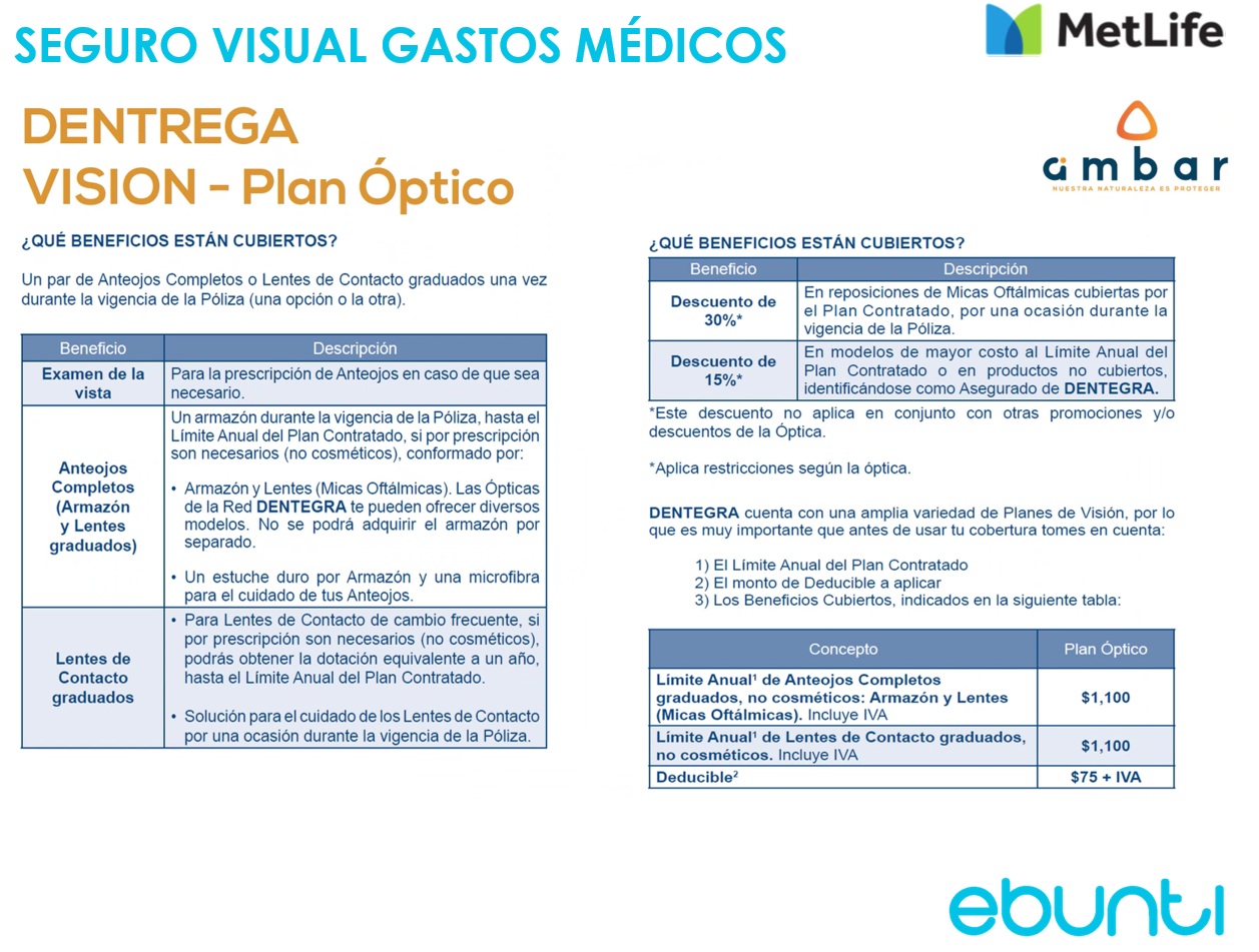 Seguro Visual